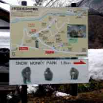 Snow Monkey Park